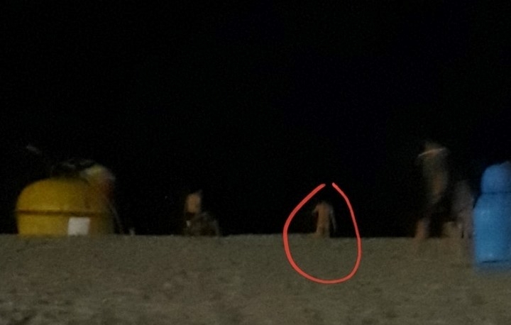 Du khách Trung Quốc ngang nhiên khỏa thân tắm biển Đà Nẵng