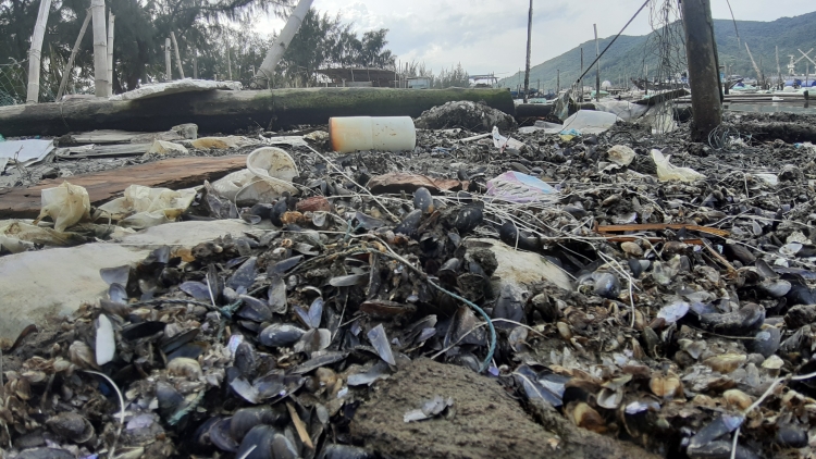 long be trai phep rac thai bua vay vinh man quang da nang