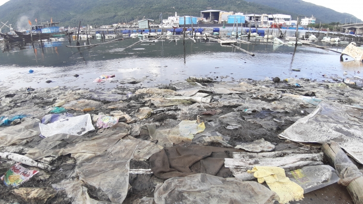 long be trai phep rac thai bua vay vinh man quang da nang