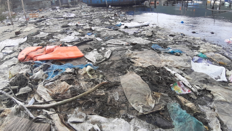 long be trai phep rac thai bua vay vinh man quang da nang