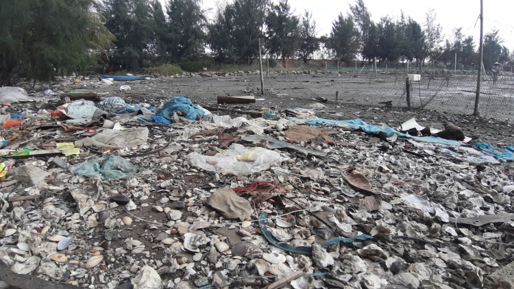 long be trai phep rac thai bua vay vinh man quang da nang