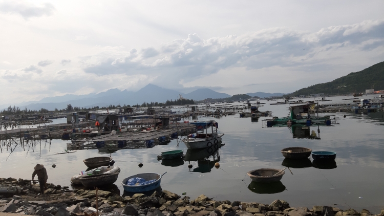 long be trai phep rac thai bua vay vinh man quang da nang