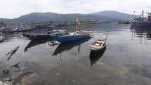 da nang ra cong dien ung pho ap thap nhiet doi va canh bao mua lon