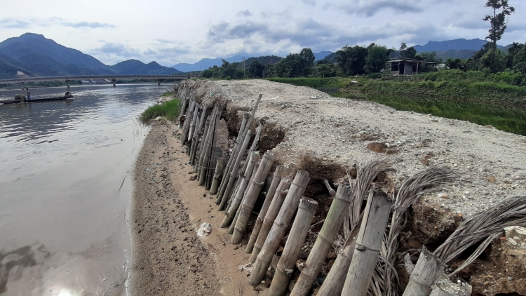 da nang ngang nhien lan song cu de trai phep de nuoi tom the