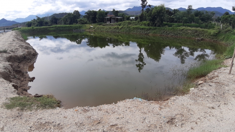 da nang ngang nhien lan song cu de trai phep de nuoi tom the