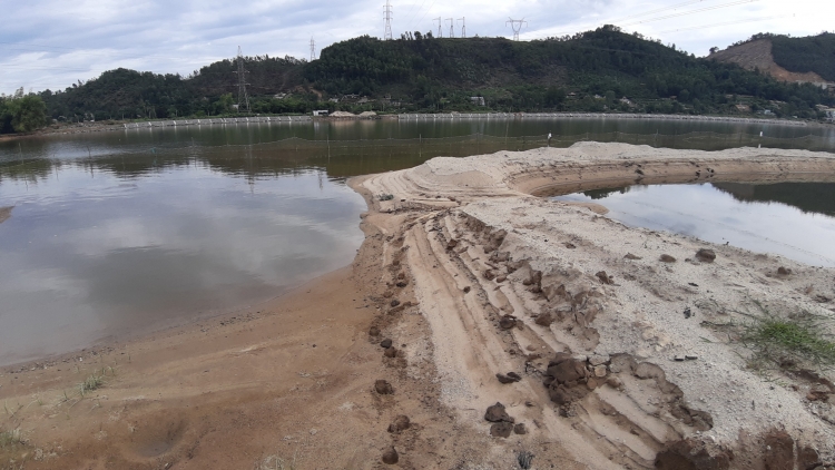 da nang ngang nhien lan song cu de trai phep de nuoi tom the