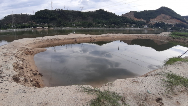 da nang ngang nhien lan song cu de trai phep de nuoi tom the