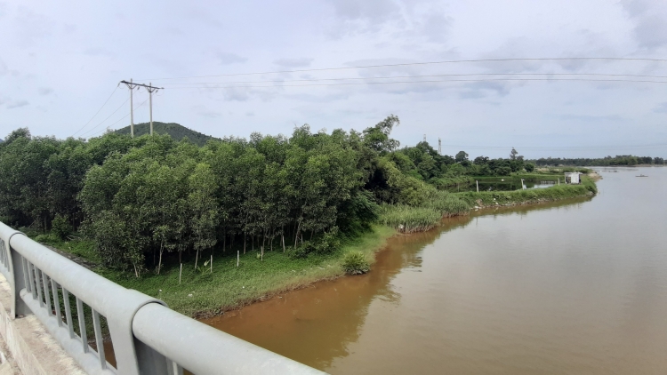 da nang ngang nhien lan song cu de trai phep de nuoi tom the