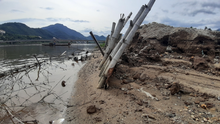 da nang ngang nhien lan song cu de trai phep de nuoi tom the