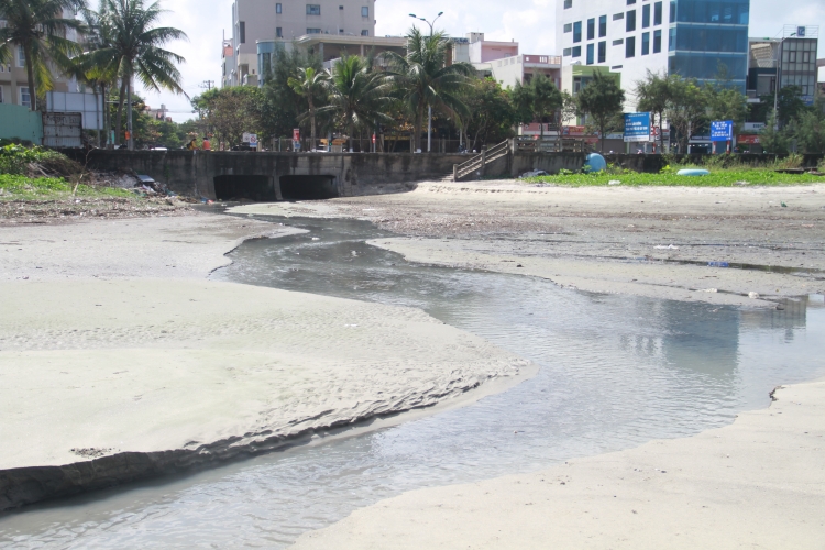 Bí thư Đà Nẵng: Sẽ đóng cửa các cơ sở gây ô nhiễm môi trường biển