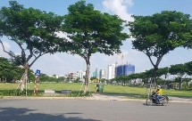 thua kien vipico chinh quyen da nang nop don khang cao