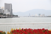 da nang con 1155 truong hop o lan trai cho xay dung nha o