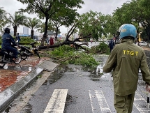 nganh giao thong da nang doc suc khac phuc hau qua sau bao so 5