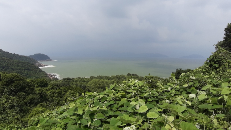 da nang nguoi dan phai deo the khi tham quan ban dao son tra