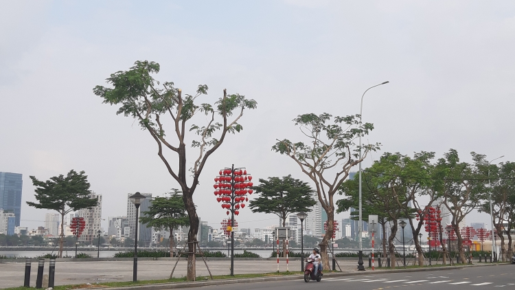 da nang chua phat hien dau hieu tham nhung trong nam 2019