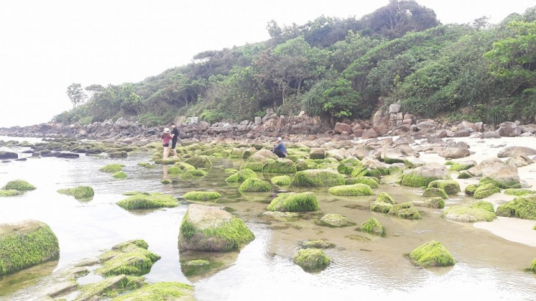 Đà Nẵng: Nam Ô sẽ có làng bích họa ven biển