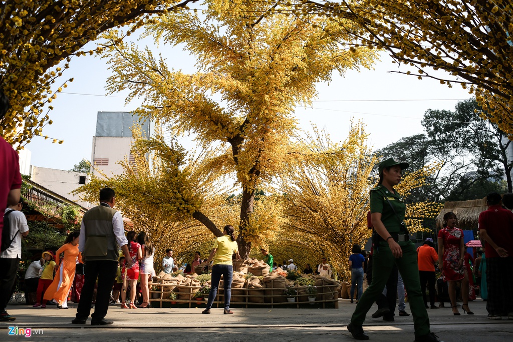 Dịch vụ trang điểm, cho thuê áo dài chụp ảnh bên hoa mai ở TP.HCM dich vu trang diem cho thue ao dai chup anh ben hoa mai o tphcm