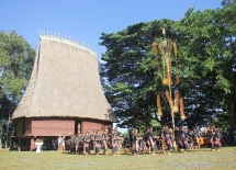 Xuân về dưới mái nhà rông