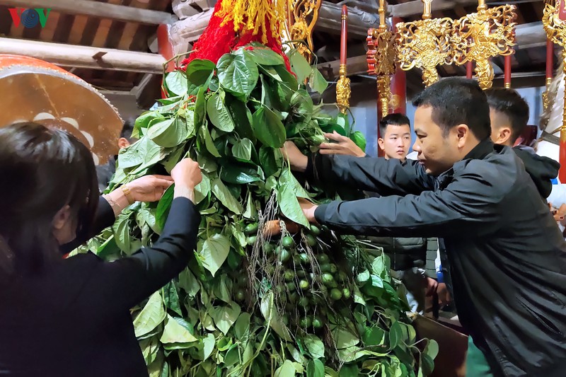 hang van du khach du le khai hoi den soc xuan canh ty 2020