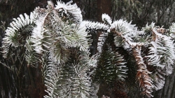 Miền Bắc chuẩn bị đón đợt rét hại, khả năng xuất hiện mưa tuyết, băng giá