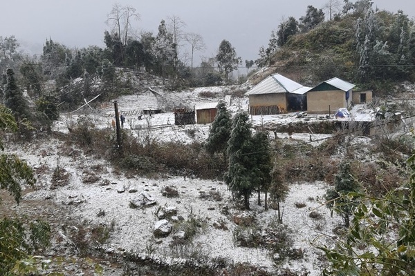 Rét nhất âm 3,4 độ C, tuyết phủ dày đến 20 cm, Lào Cai thiệt hại nặng