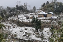 Rét nhất âm 3,4 độ C, tuyết phủ dày đến 20 cm, Lào Cai thiệt hại nặng