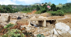 Dùng trí tuệ nhân tạo giám sát lũ quét, sạt lở ở miền Trung?