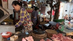 Bài 2: Vì sao thực phẩm không rõ nguồn gốc vẫn có đất sống?