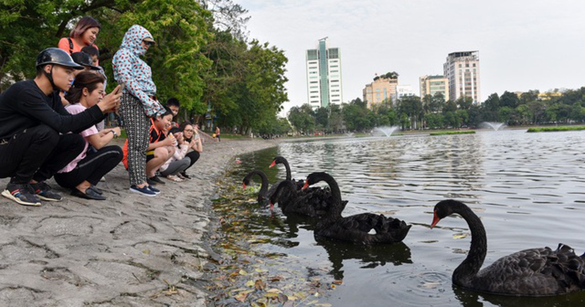 Bí thư Hà Nội đề nghị tổ chức phố đi bộ quanh hồ Thiền Quang