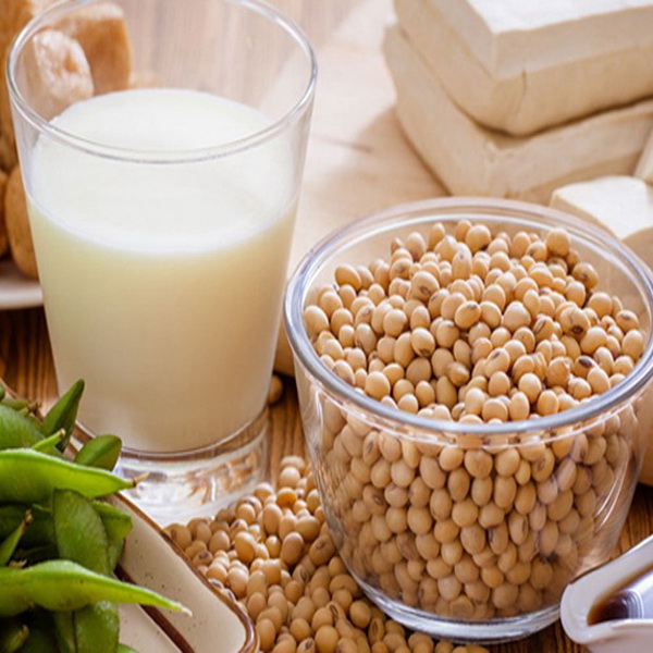 Bài thuốc chữa bệnh từ đậu tương