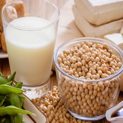 Bài thuốc chữa bệnh từ đậu tương