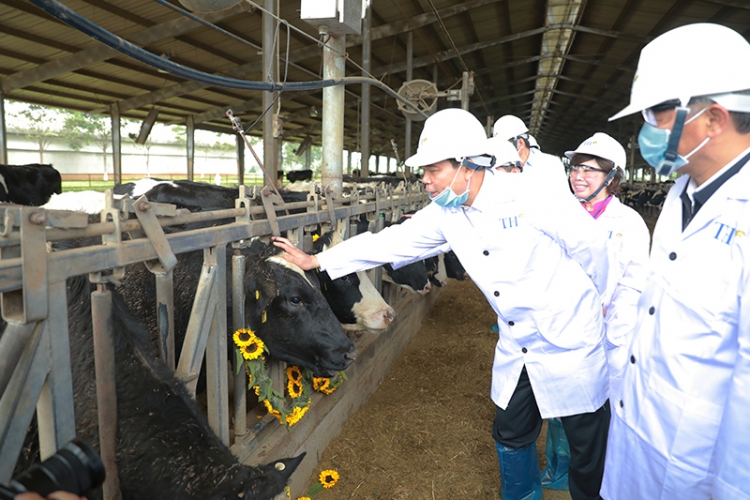 Bộ trưởng Nông nghiệp kỳ vọng ngành sữa sớm đạt mục tiêu xuất khẩu 1 tỷ USD