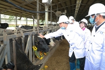 Bộ trưởng Nông nghiệp kỳ vọng ngành sữa sớm đạt mục tiêu xuất khẩu 1 tỷ USD