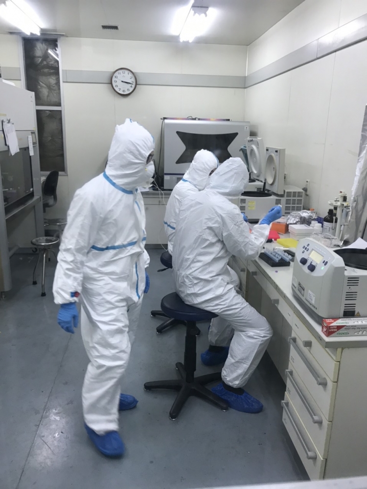 Hơn 8.200 người nguy kịch vì dịch corona, 1.112 người tử vong