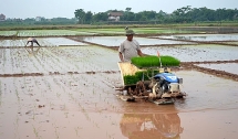 Trên 95% diện tích Trung du và đồng bằng Bắc Bộ có nước gieo cấy