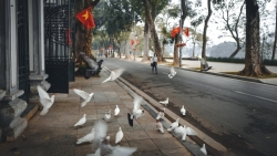 Khoảnh khắc đường phố bình dị đậm chất Hà Nội những ngày giáp Tết