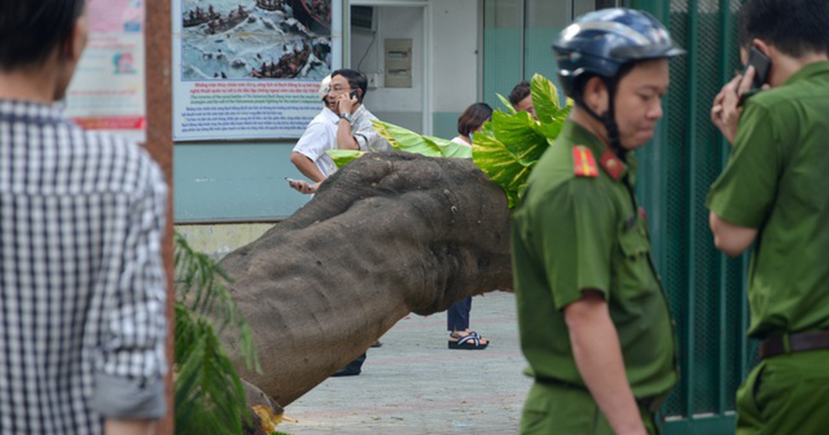 Những lùm xùm "chưa lối ra" trong năm cũ ở trường học