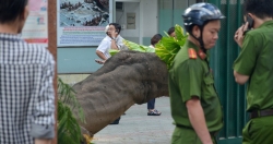 Những lùm xùm "chưa lối ra" trong năm cũ ở trường học