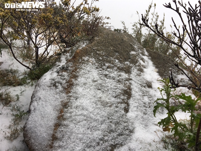 Tuyết rơi bất thường trên đỉnh Fansipan ngày 27 Tết - 2