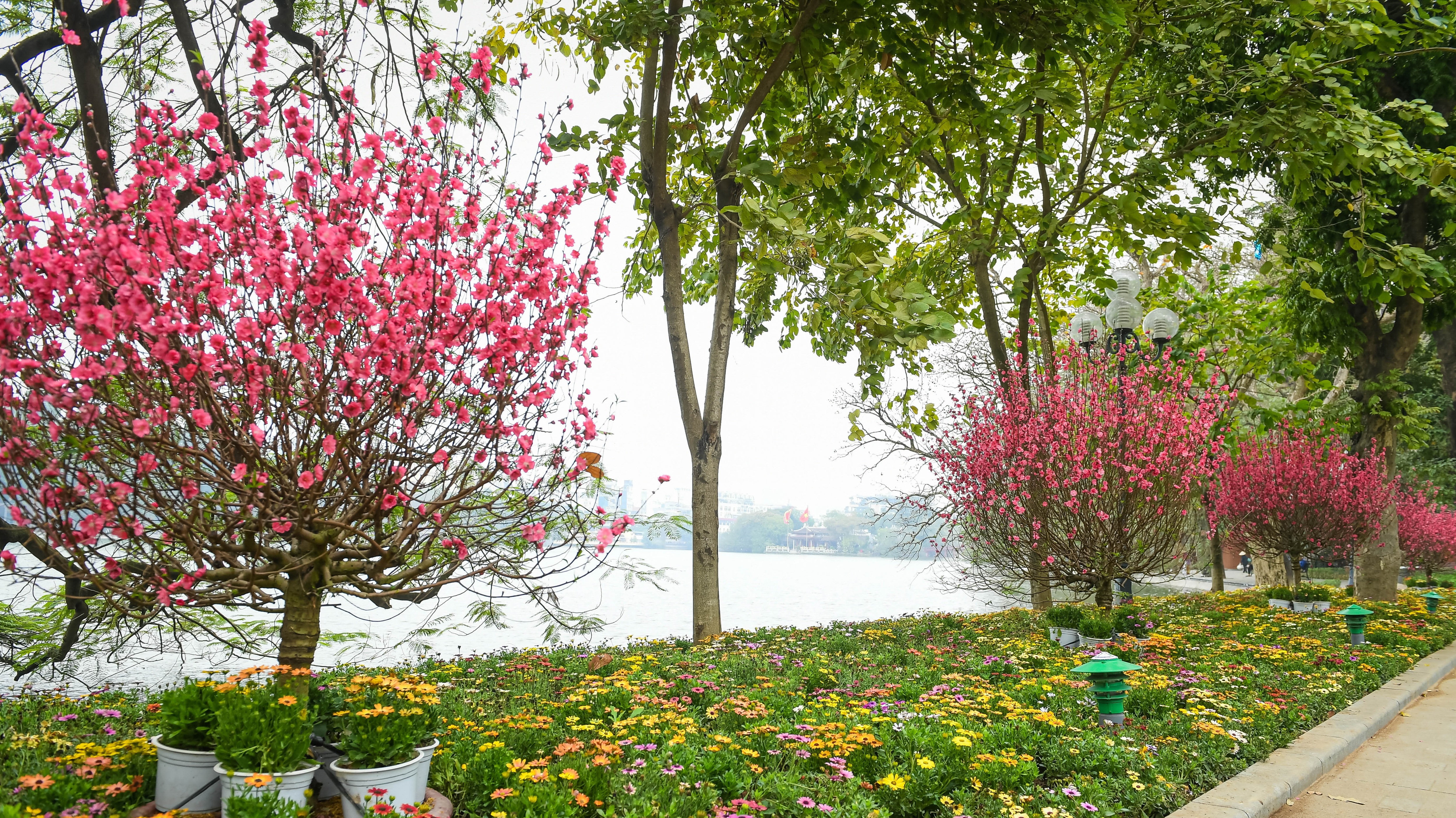 Hà Nội "khoác áo mới" rực rỡ chào đón Tết Tân Sửu 2021