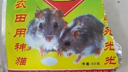 Thuốc diệt chuột Trung Quốc cực độc, bị cấm cách đây 20 năm xuất hiện trở lại