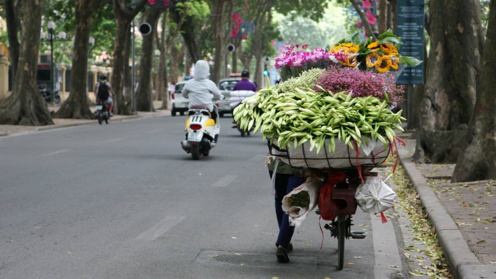 Đi khắp các con phố Hà Nội vào thời điểm này, không khó để bắt gặp những chiếc xe đạp chở đầy hoa loa kèn đầu mùa tràn đầy sức sống