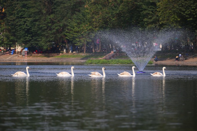 Đề xuất chủ trương tổ chức không gian đi bộ - văn hóa khu vực hồ Thiền Quang