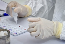 Bệnh nhân 22 dương tính trở lại có thể là người lành mang trùng