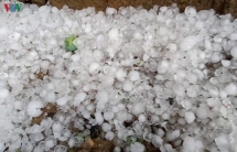 Dông lốc gây thiệt hại nặng ở các tỉnh, nhiều người thương vong