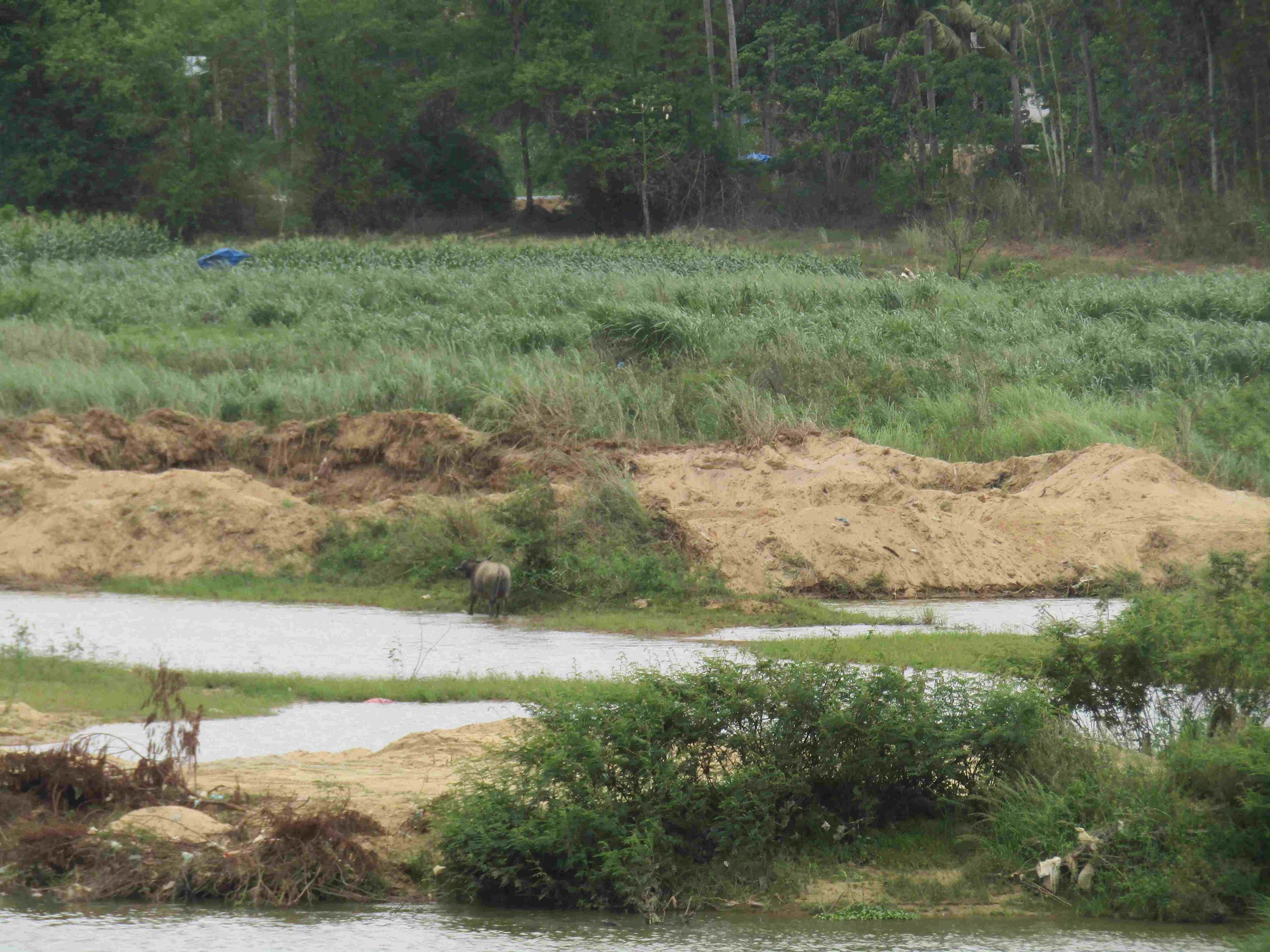 Bình Định: Sông Lại Giang “kêu cứu” vì doanh nghiệp không hoàn thổ sau khai thác cát binh dinh song lai giang keu cuu vi doanh nghiep khong hoan tho sau khai thac cat