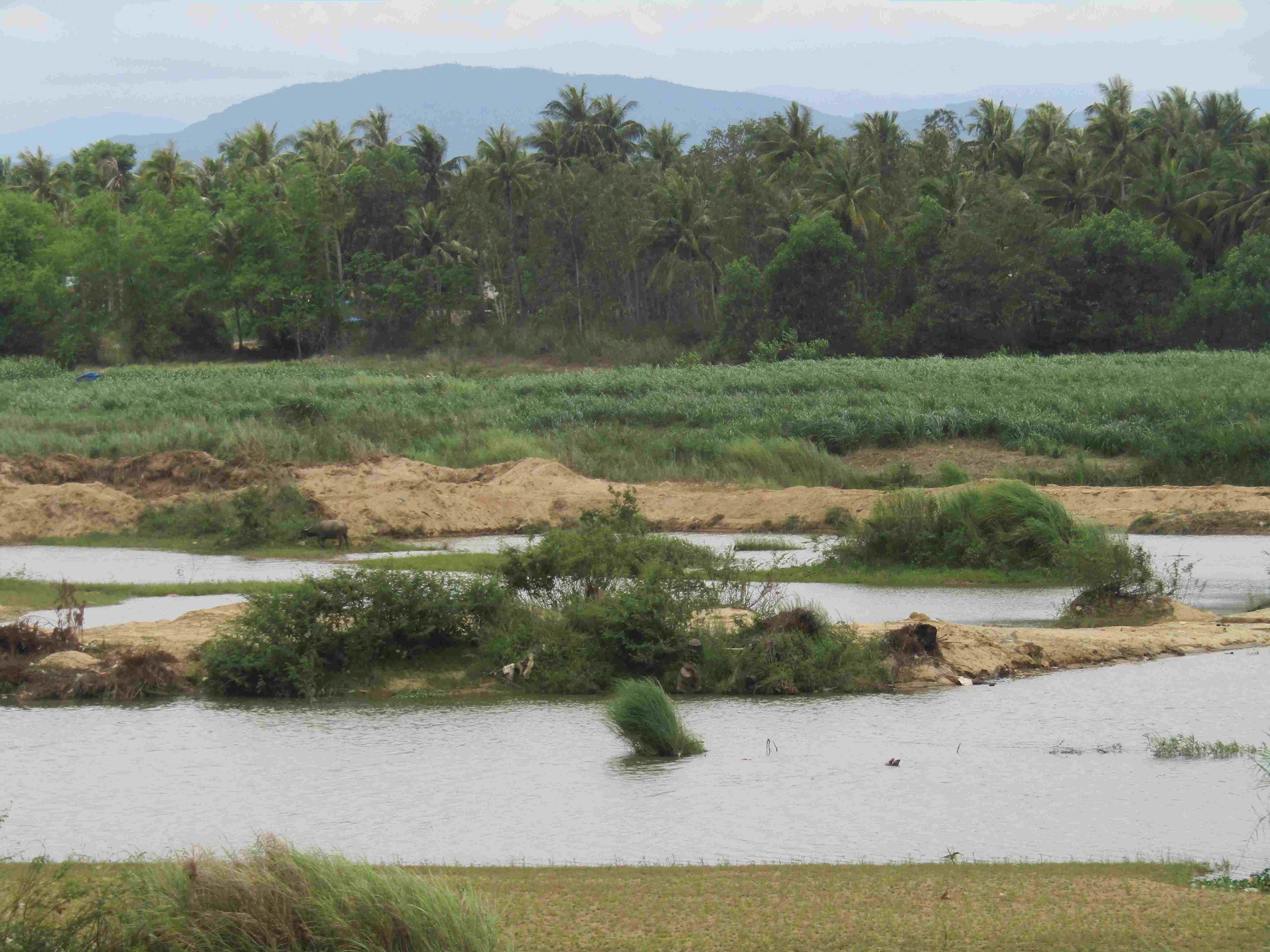 Bình Định: Sông Lại Giang “kêu cứu” vì doanh nghiệp không hoàn thổ sau khai thác cát binh dinh song lai giang keu cuu vi doanh nghiep khong hoan tho sau khai thac cat