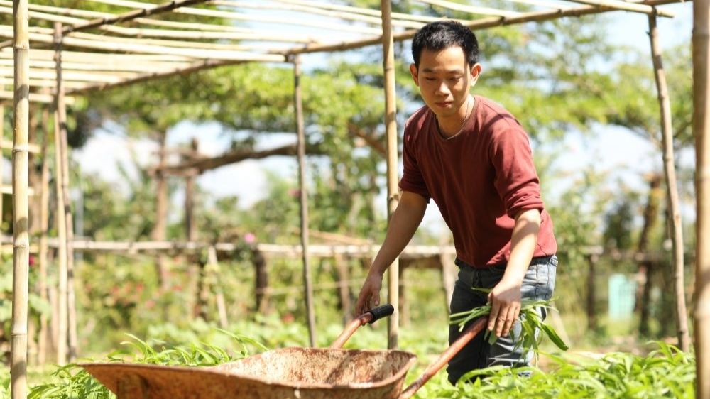 “Chàng trai robot” đưa nông sản Việt lên sàn thương mại điện tử