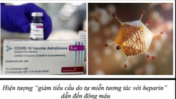 Mối liên hệ giữa những ca đông máu "hiếm gặp" và vaccine AstraZeneca