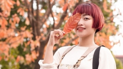 Những "lá phổi"Thủ đô đổi màu lúc giao mùa